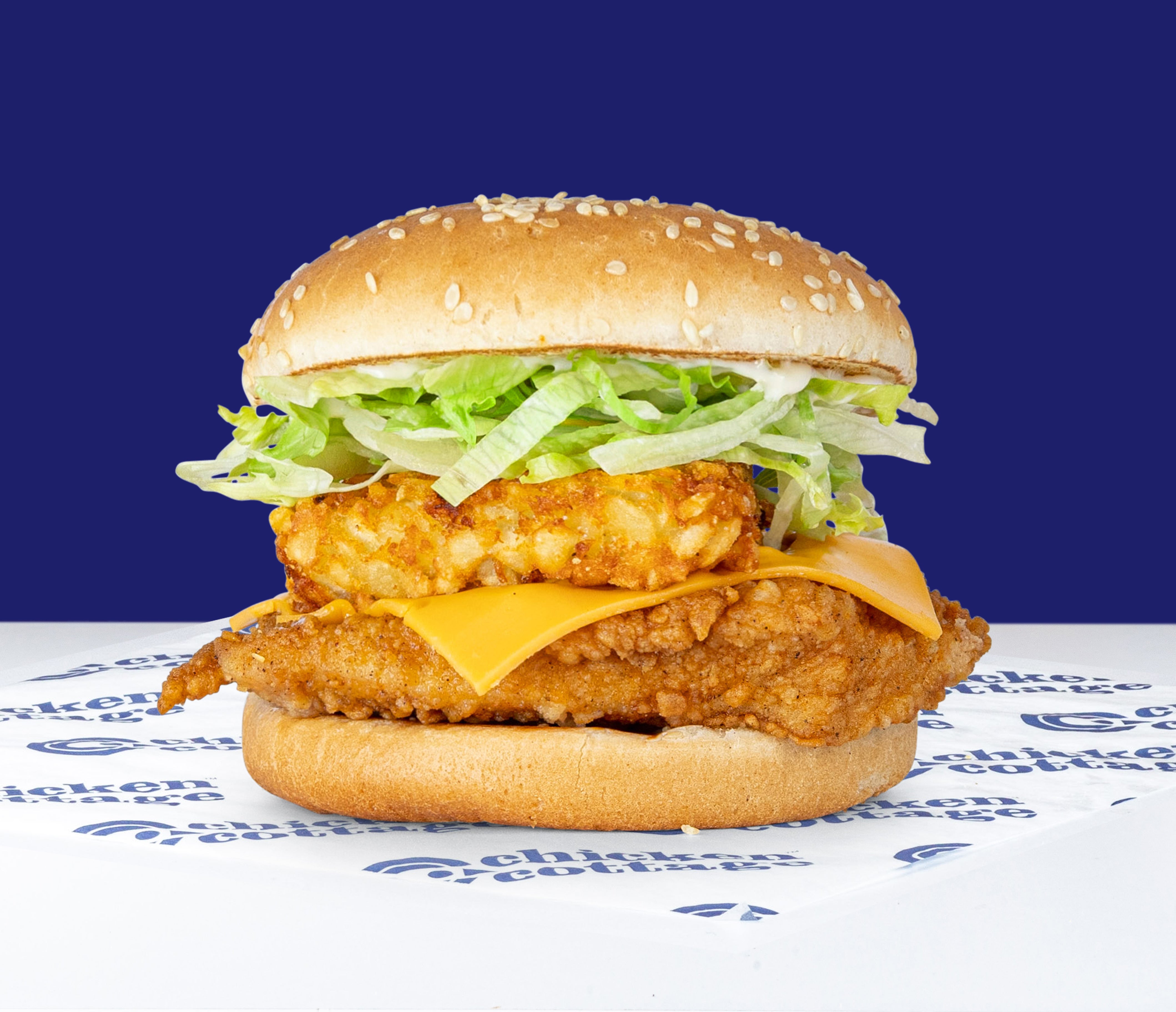 Mountain Burger