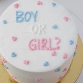 Boy Or Girl Cake 3