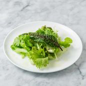 Mixed Salad Topping