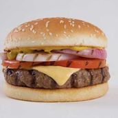 All Grilled Burger