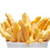 Loaded Fries 