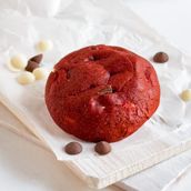 Lab Cookies