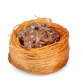 Nutella Uash Albulbul 