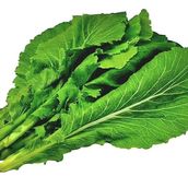 Chinese Green Mustard - 250 Grams