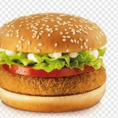 Vegetable Burger