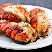 kilo Lobster