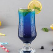 Blueberry Mojito
