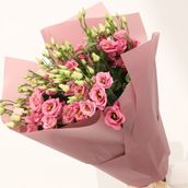 Eustoma Rosea