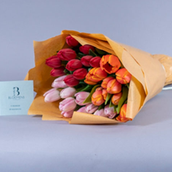 Tulip l