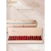Big Raspberry Chocolate Bite
