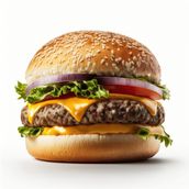 VEG BURGER