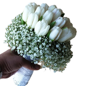 Bridal Bouquet Of Tulip