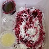 Strawberry Falooda