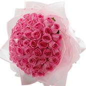 50 Pink Flowers Bq