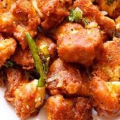 65 (Gobi)