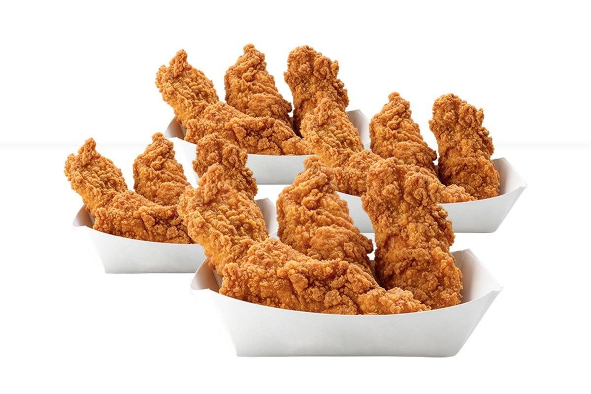 16 Tenders