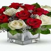 Red And White Rose With Glass