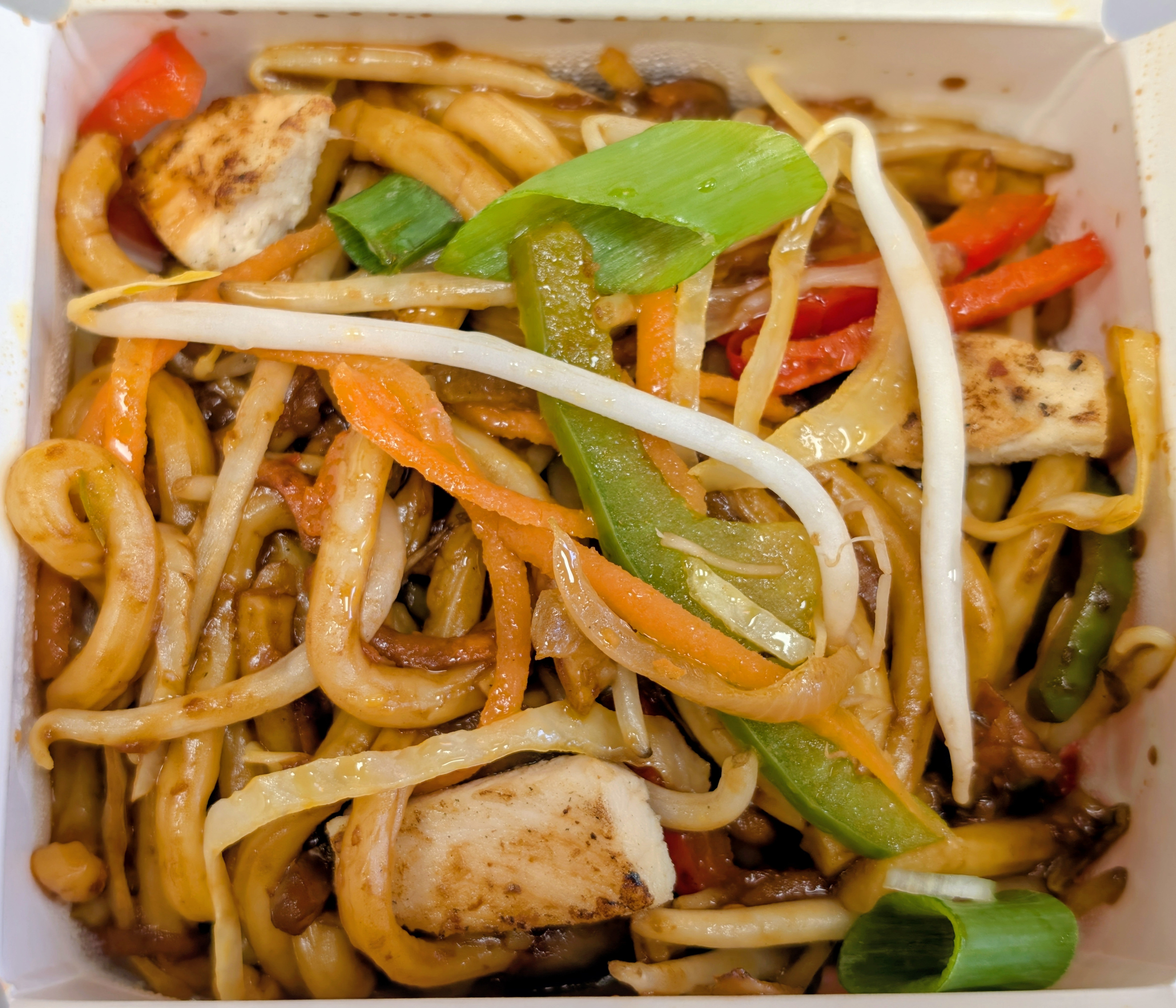 Udon Noodles