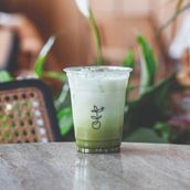 Iced Matcha Latte