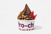 Chocolate Yogurt