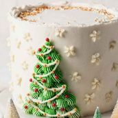  Village Christmass Cake