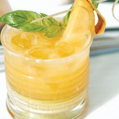 Mango Mule