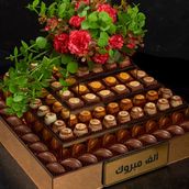 New Budum Congratulation 
