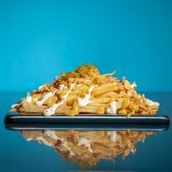 Signature Fries