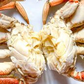 Crab Kabkoub