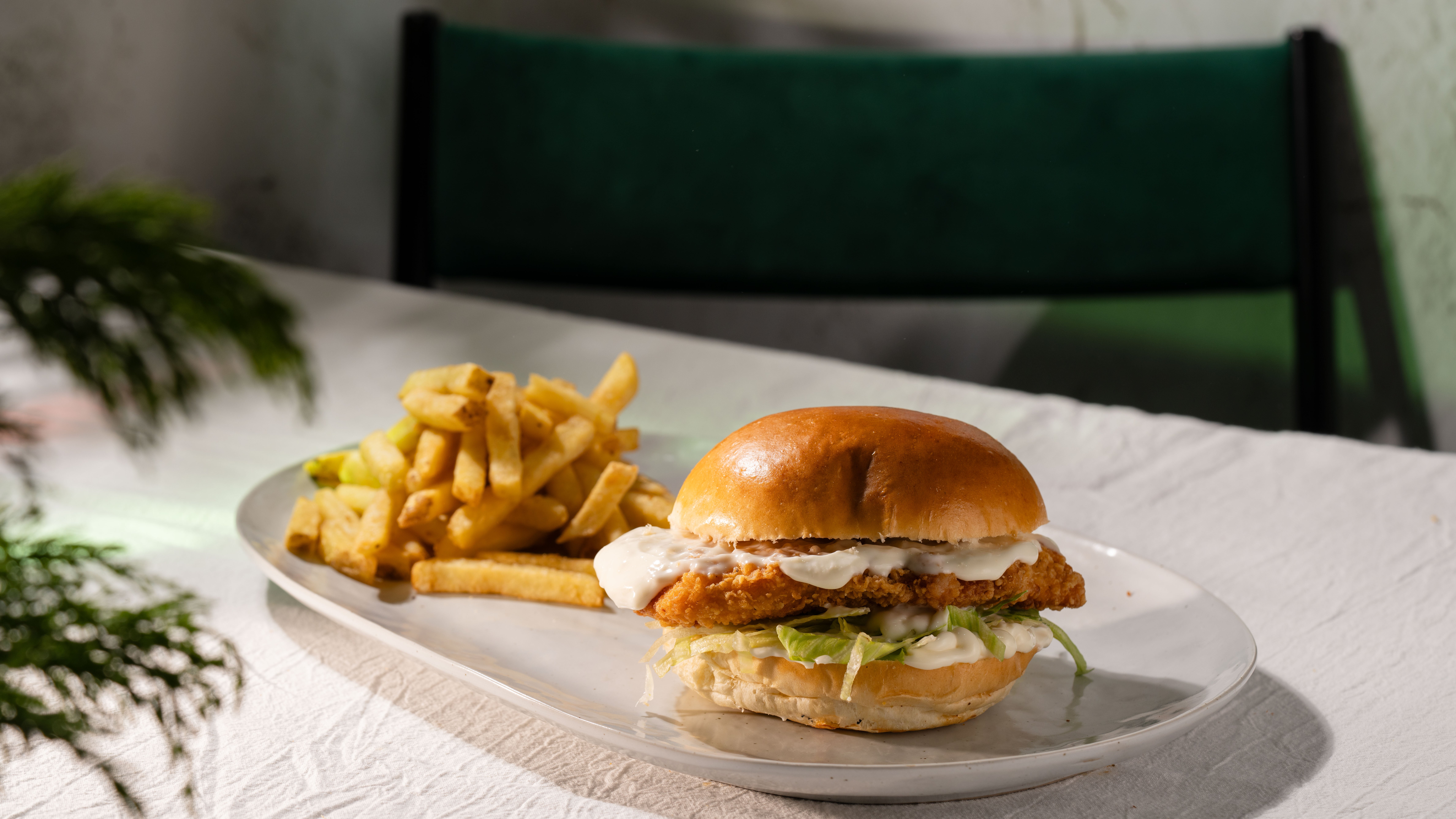 Southern Style Chicken Burger + Fries
