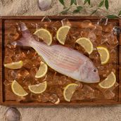 Red Mullet