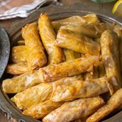25 Pieces Cabbage