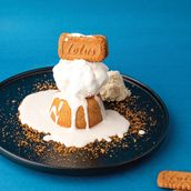 Slip N’ Fall Lotus Cake