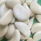 Extra Garlic