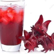 Cold Hibiscus