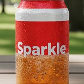 Soft Drinks Can 245 ml