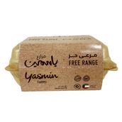 Free Range Brown Eggs 6 PCS Natural Feed Yasmin Farms