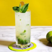 Mojito Lemon Mint
