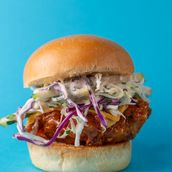 Fire Bird Slider