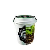 FRESHMINTI-Black Tea Moroccan Mint Cardamom 8 oz Cup