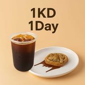 1KD 1Day