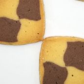 Chess Biscuit