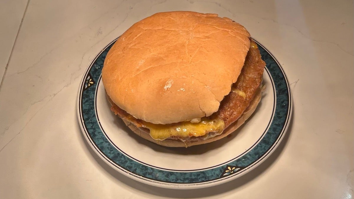 Plain Cheese Burger in a Bun