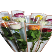Single Roses