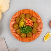 Mixed Regular Falafel Dish