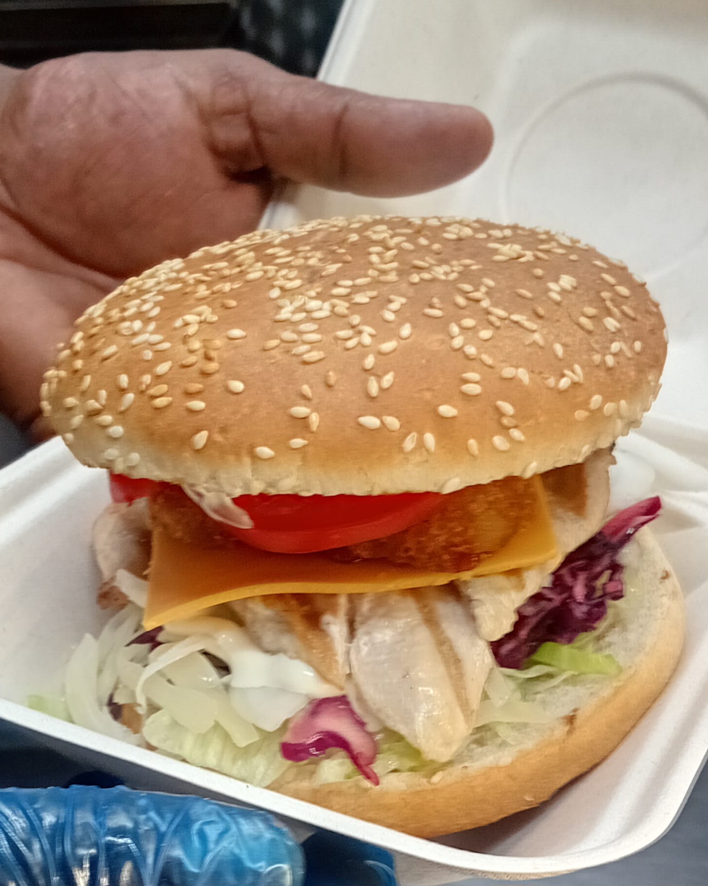 Grilled Fillet Burger