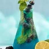 Blueberry Mojito