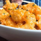 Rock Shrimp