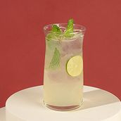lemon and mint fresh juice