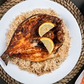 Seabream Fish Mandi